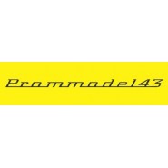 Масштабные модели Prommodel43